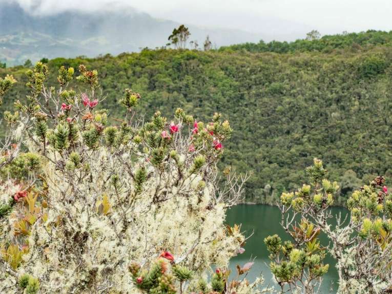 Visitar la Laguna de Guatavita
