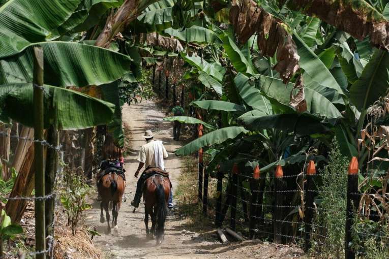 acitivités à salento balade à cheval blog de voyage en colombie