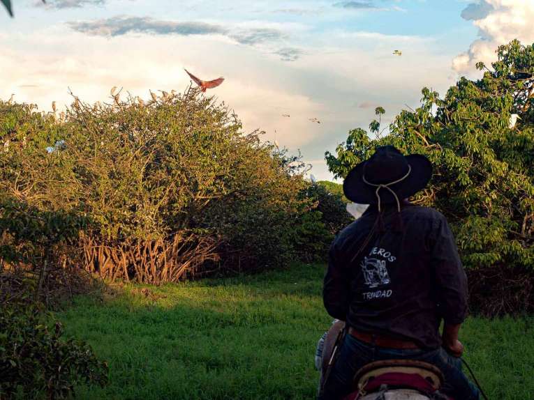 Hato Las Gaviotas, Safari llenero en el Casanare, blog de viaje por Colombia