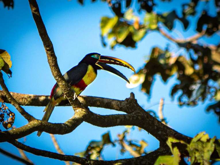 Safari llenero en el Casanare, blog de viaje por Colombia