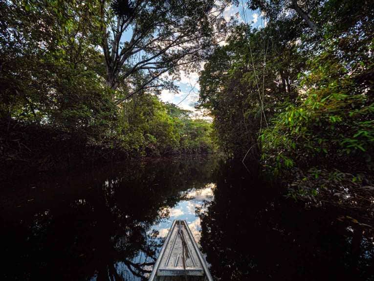 Visitar el Guaviare, la puerta de la Amazonía