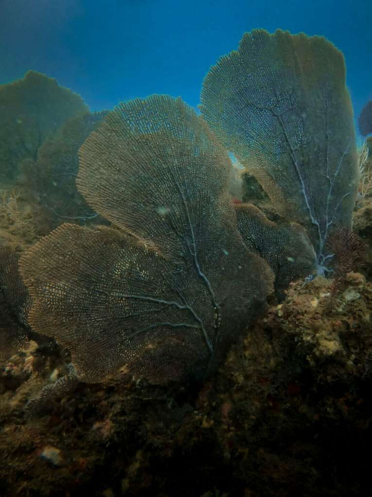 Arusí, una perla del Pacífico cerca de Nuquí