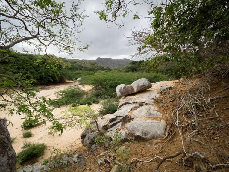 El parque de la Macuira, un oasis en el desierto de la Guajira