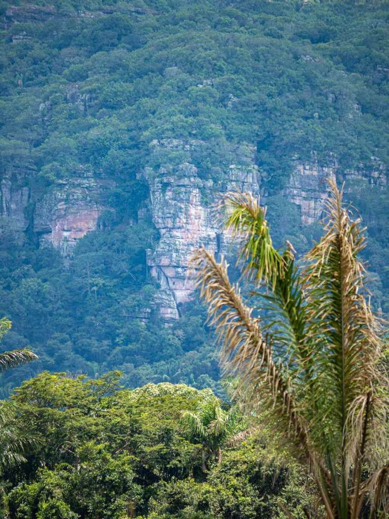 Cerro azul en el Guaviare, la Capilla sixtina del Amazonas