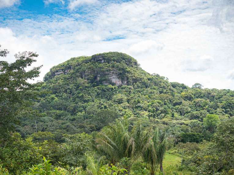 Cerro azul en el Guaviare, la Capilla sixtina del Amazonas